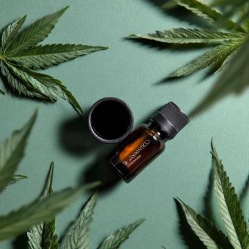 如何选择适合自己的养生壶:实用指南