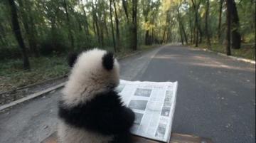 樾月在今日头条上的养生之道