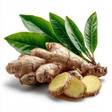 夏日姜秘籍：解锁食疗功效，掌握科学吃姜之道