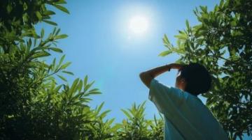 中医话养生之夏至节气养生(中医专家讲节气养生夏至)