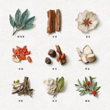 中医养生指南顺应自然，科学调理，解锁健康密码