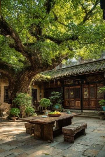 郑州中医名家讲堂:三期同启,洞悉中医精髓