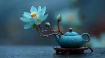 夏季中医养生秘籍:顺应节气而活