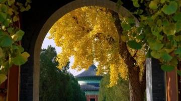 立秋养生5大智慧,旺运更旺健康,科学传承,黄金期!