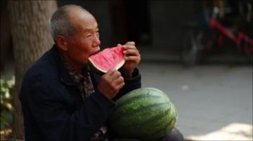 探究中老年人饮黄酒的养生之道与长寿关联