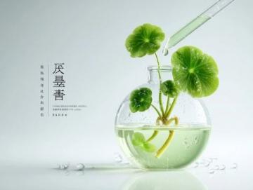 健康新知50岁+科学饮水指南|中医科主任详解"时段养生饮法"