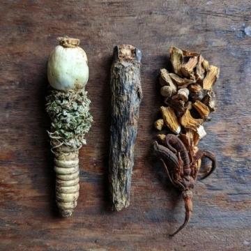 中医养生:千年智慧根植基因,揭秘“天人合一”生活艺术