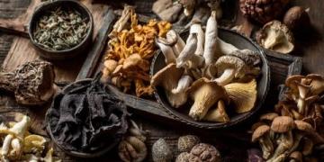 中医调理高血压食疗秘笈:如何用膳降低血压?