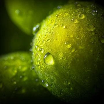千万要防霉夏季潮湿霉变食物易中毒