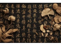 中华养生宝库中的璀璨明珠：山茱萸及其多重功效