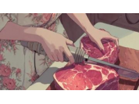 岁月长河中，老年人群聚焦肉类与健康的关系