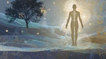 四季养生智慧：调和自然，维护身心平衡的策略