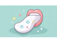 味蕾上的健康秘诀：舌尖上的养生之道