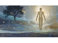 四季养生智慧：调和自然，维护身心平衡的策略