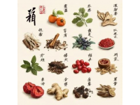 中医养生重健脾祛湿，调养脾胃，驱除体内湿邪