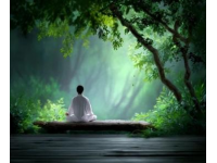 内心平和：远离焦虑，心态稳定的健康模样