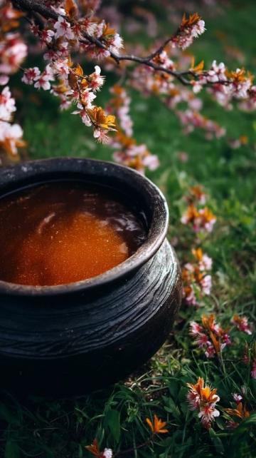 甘蔗银耳莲子羹(养生壶银耳莲子羹一人份)