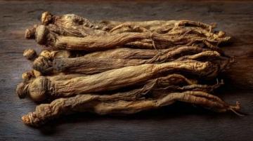 养生吃法:如何将当归融入日常饮食
