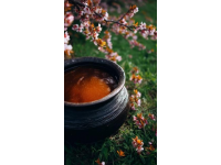 甘蔗银耳莲子羹(养生壶银耳莲子羹一人份)