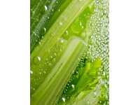 芹菜汁真的能排毒减肥降血压吗？真相令人意外