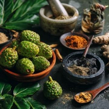 桑叶的多重养生功效及其在中医药的应用