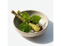 桑叶的多重养生功效及其在中医药的应用