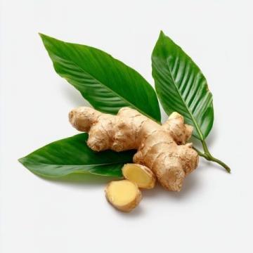 三伏天养生秘方:陈皮生姜茶祛湿排毒,居家必备!