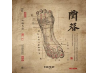 中医养生：五指测健康的秘密技巧