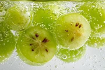 白露时节养生饮食该如何搭配？