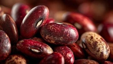 秋季养生：四季豆六种美味吃法推荐