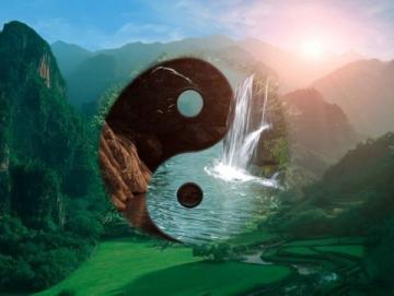 中医五行能量养生指南：解锁健康人生