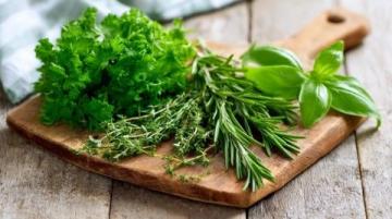 厨房这几样常见食材，比名贵药材更滋补身体