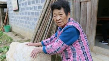 路边随处可见的小黄花，竟被炒成百元雪菊，揭秘养生茶高价真相